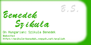 benedek szikula business card